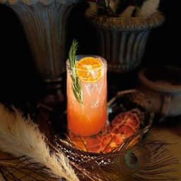 Charis christofides gallery image 5